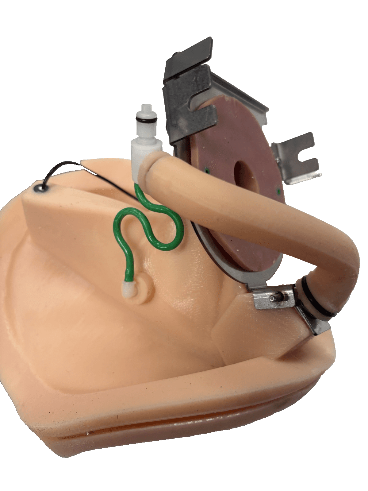 Left Mediolateral Suture Trainer - Thumbnail 3