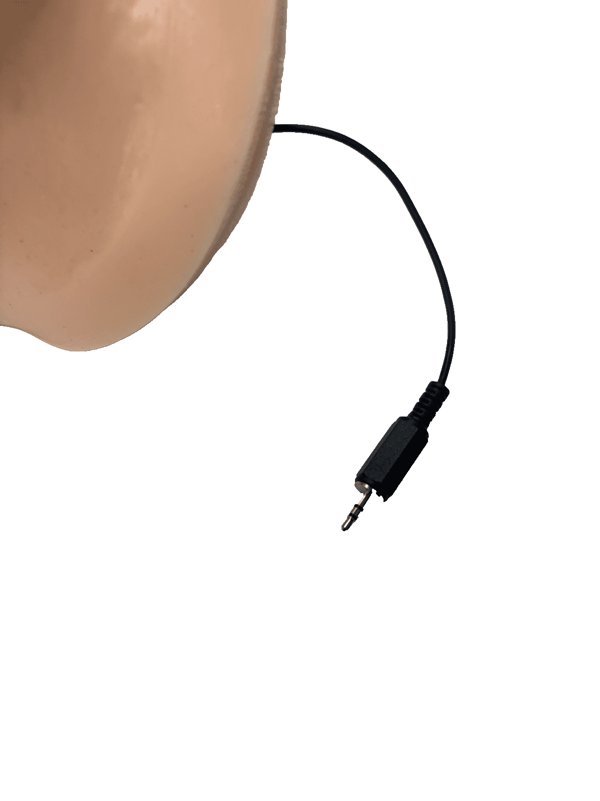 Left Mediolateral Suture Trainer - Thumbnail 2