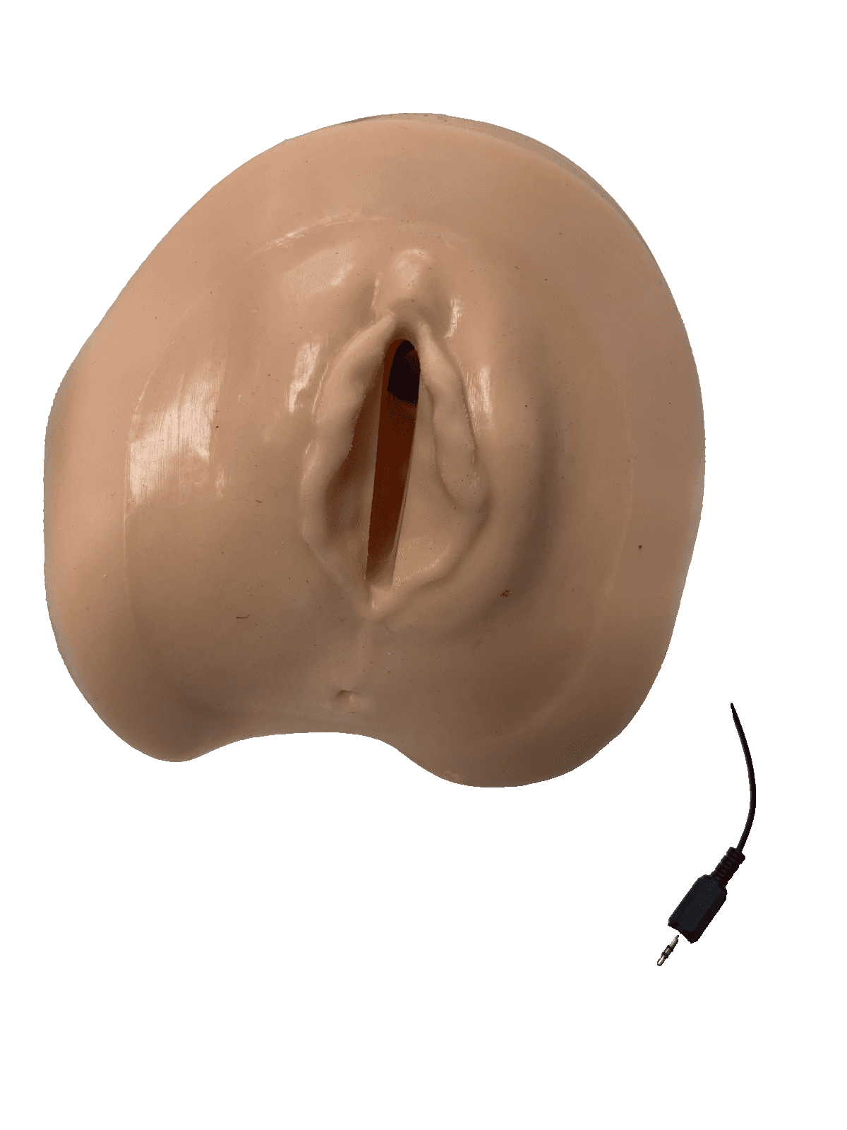 Left Mediolateral Suture Trainer - Image 1