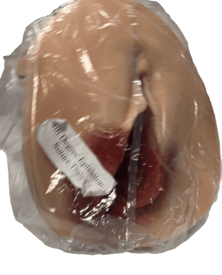 4th degree episiotomy suture trainer - Thumbnail 7