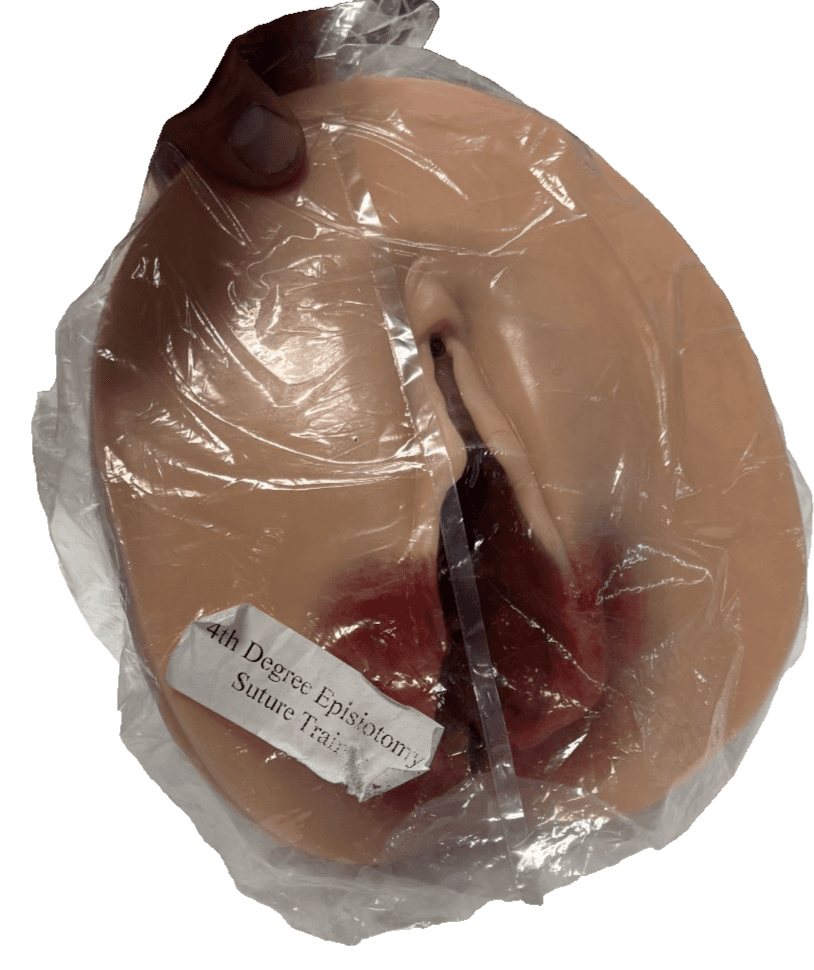 4th degree episiotomy suture trainer - Thumbnail 6
