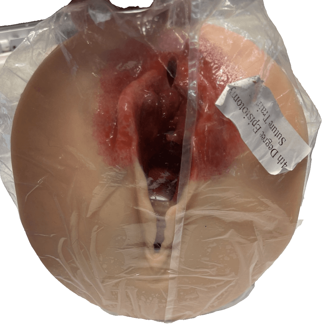 4th degree episiotomy suture trainer - Image 1