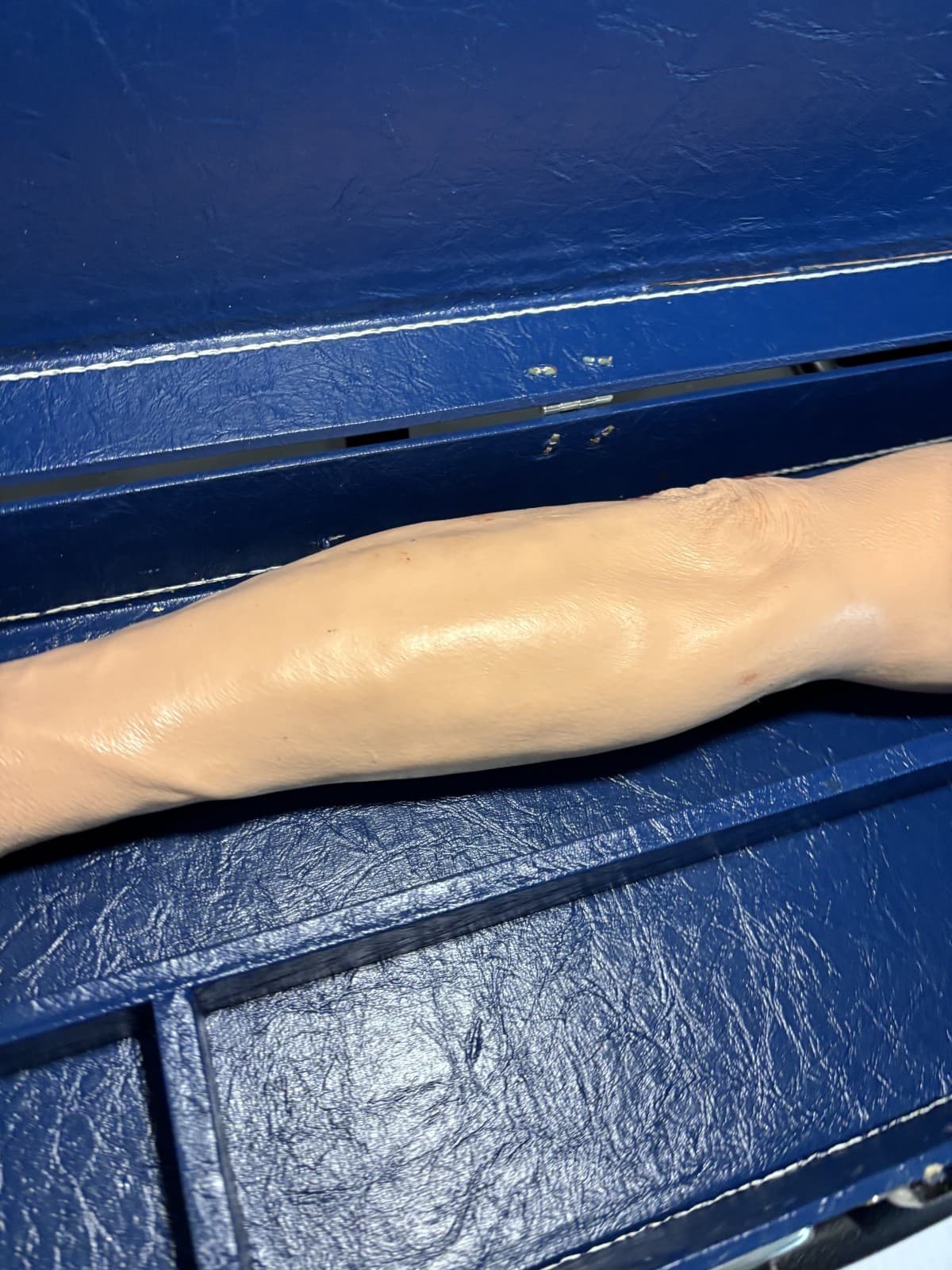 LIFEFORM REPLICAS right arm sold as is - Thumbnail 2