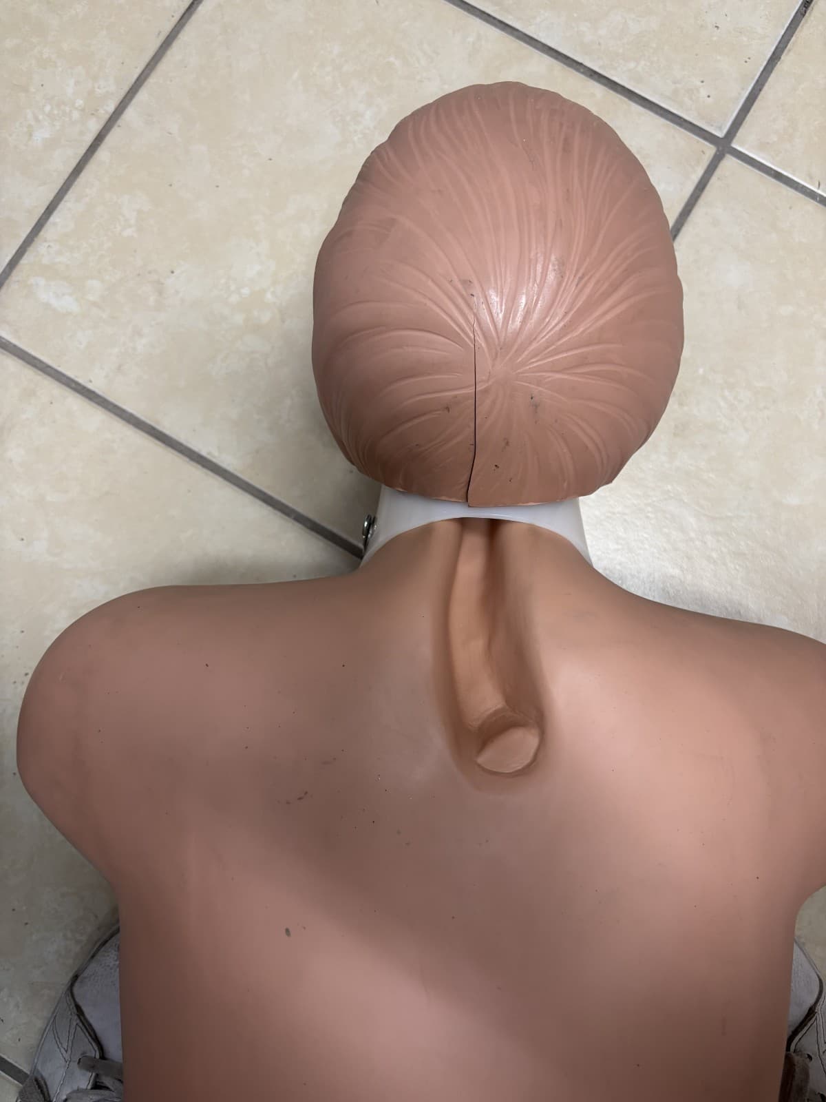 SIMULAIDS Brad Adult CPR Manikin Torso Nursing EMT Training Dummy Cracked - Thumbnail 4