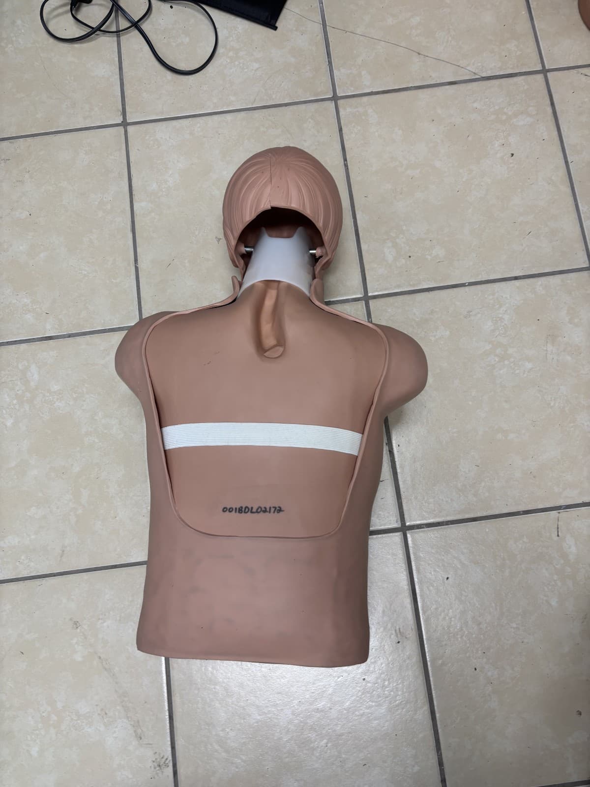 SIMULAIDS Brad Adult CPR Manikin Torso Nursing EMT Training Dummy Cracked - Thumbnail 2
