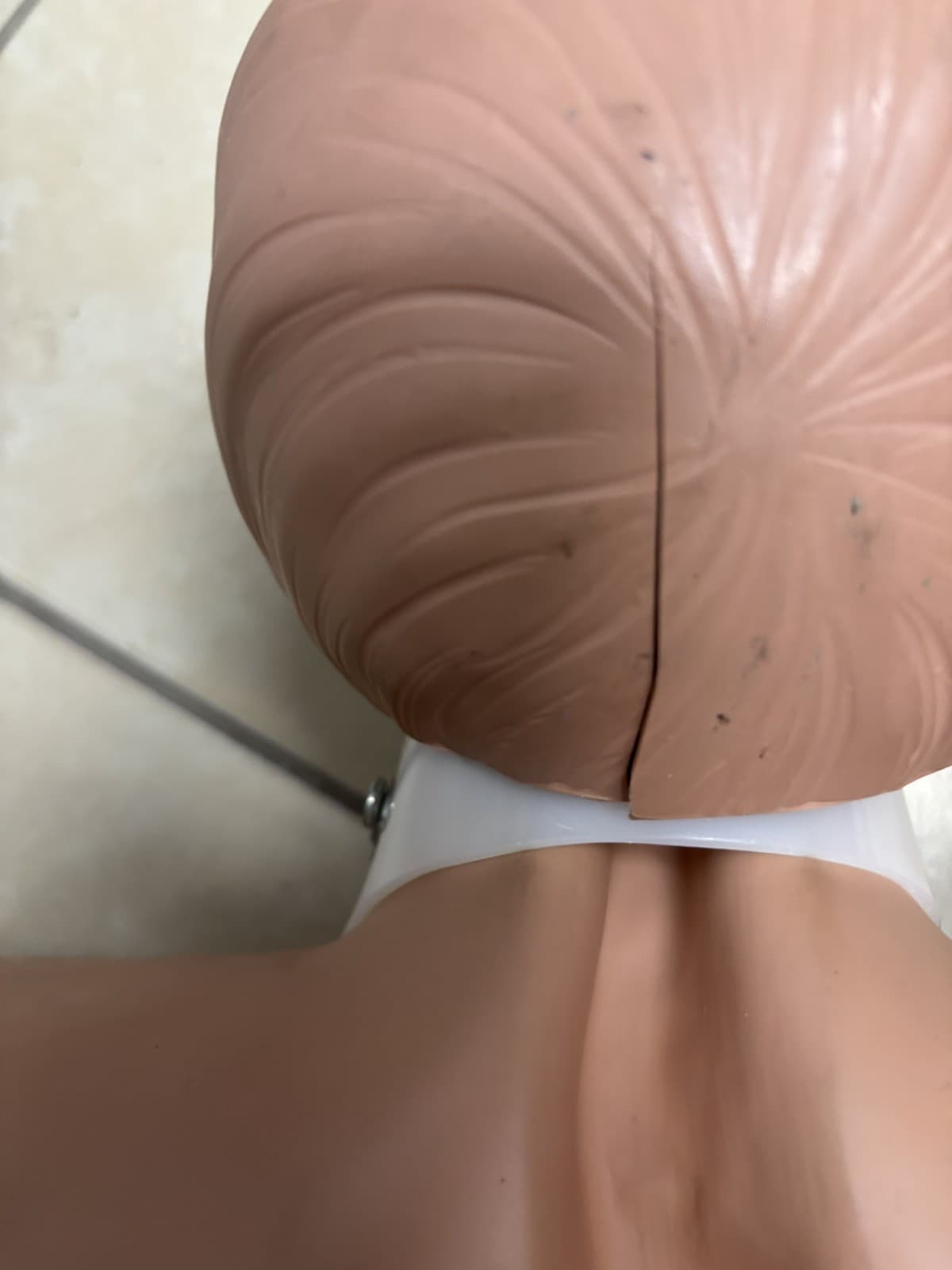 SIMULAIDS Brad Adult CPR Manikin Torso Nursing EMT Training Dummy Cracked - Thumbnail 5