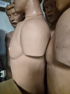 SIMULAIDS BRAD ADULT CPR MANIKIN TORSO NURSING EMT TRAINING 97 - Thumbnail 4