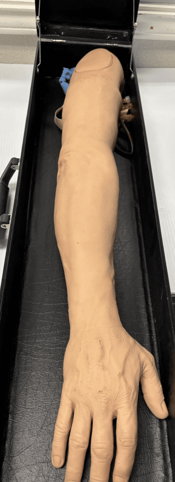 Training Arm Medical Nursing Phlebotomy Venipuncture - Image 1