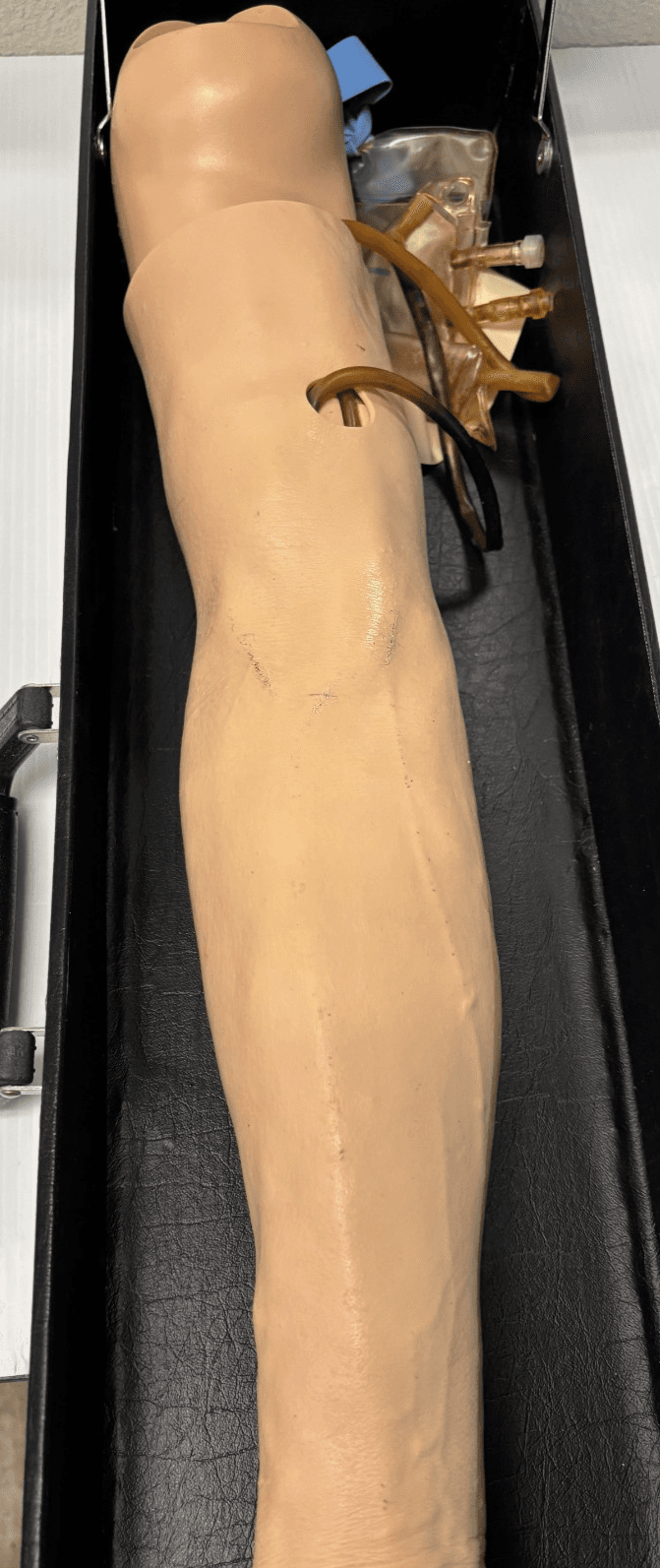 Training Arm Medical Nursing Phlebotomy Venipuncture - Thumbnail 3