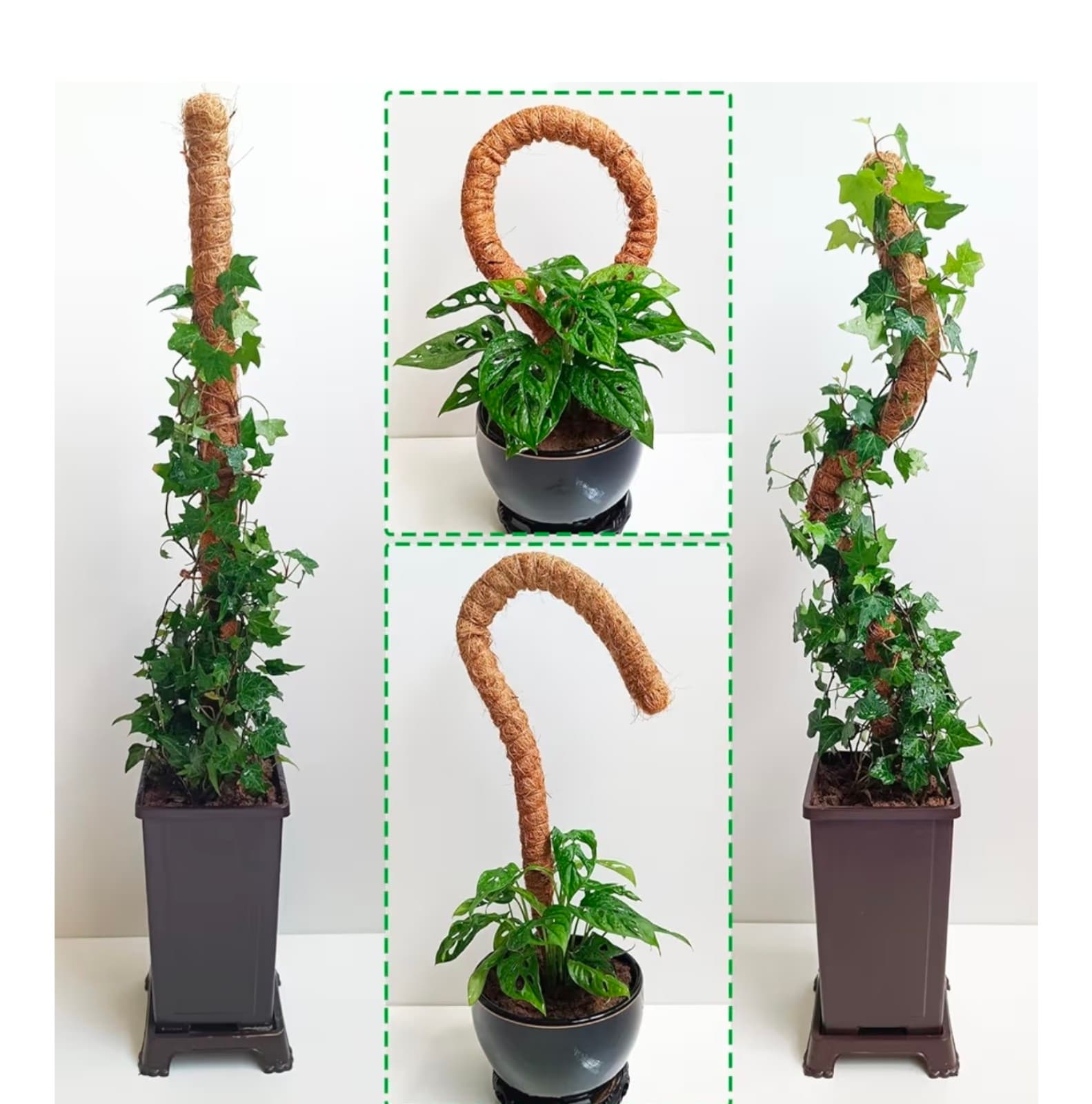 SMoss Poles 2pk 25in each Bendable Moss Pole for Climbing Plants - Thumbnail 2