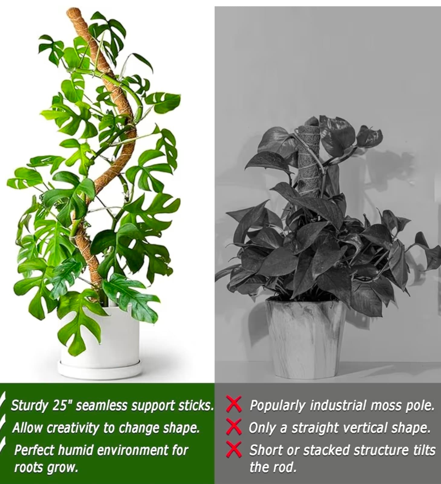 SMoss Poles 2pk 25in each Bendable Moss Pole for Climbing Plants - Thumbnail 6