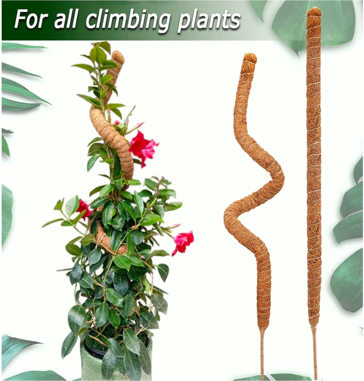 SMoss Poles 2pk 25in each Bendable Moss Pole for Climbing Plants - Thumbnail 5