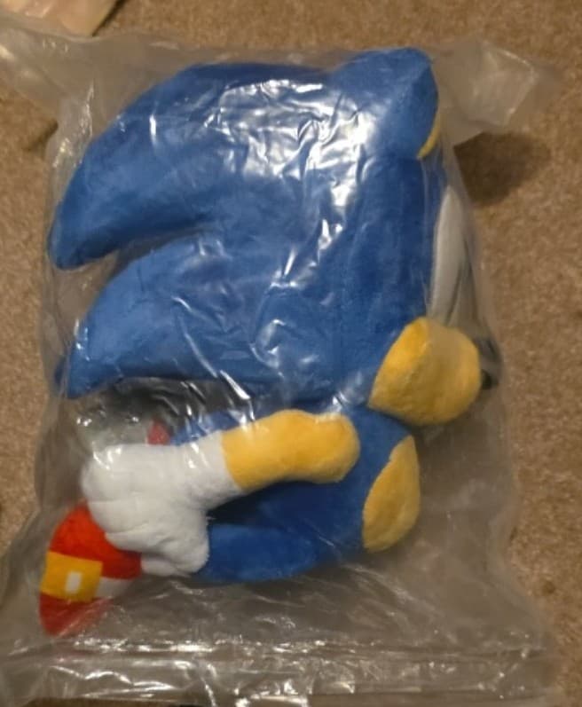 Sonic Soaring - Image 1