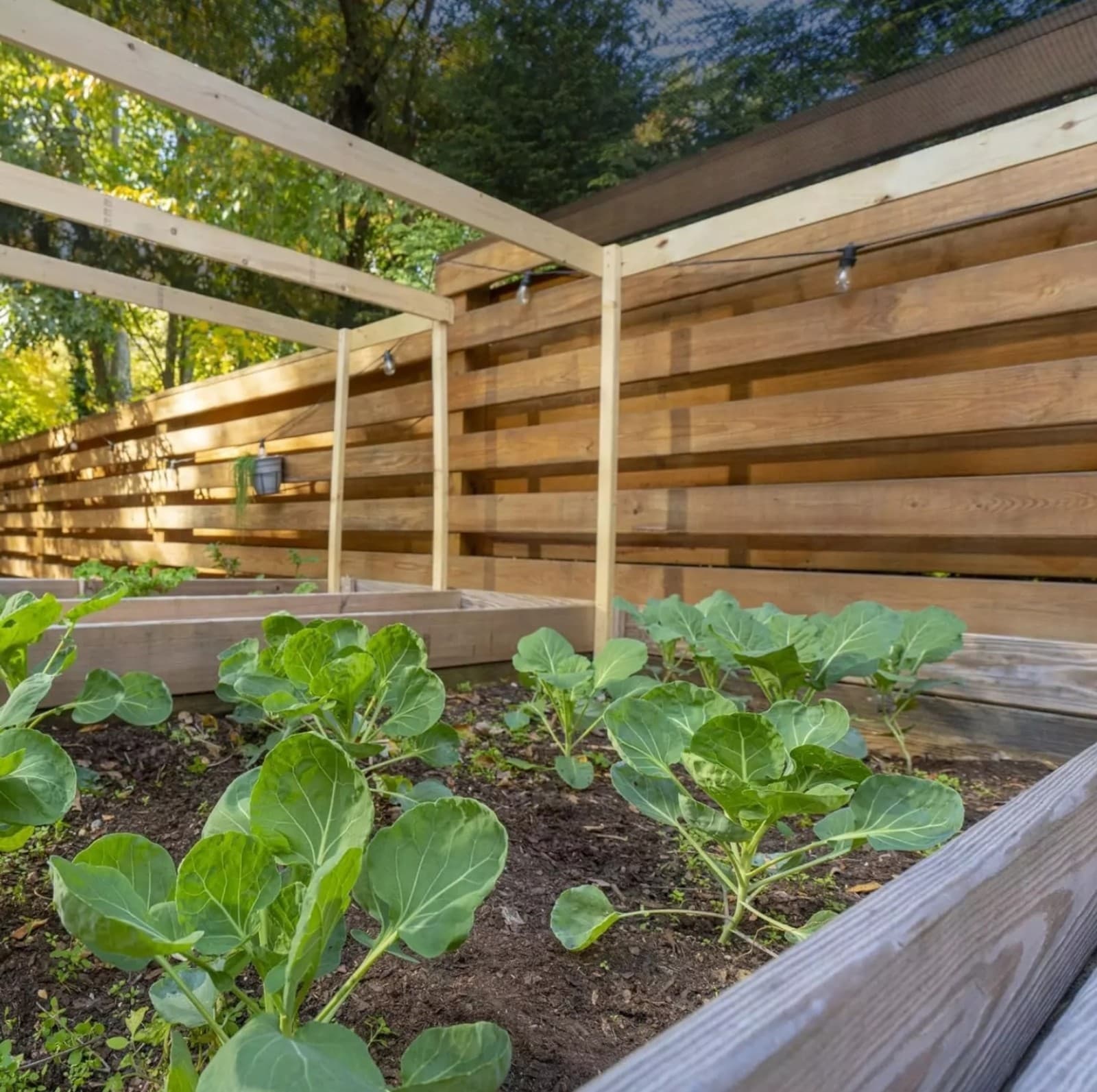 Coolaroo 6ft x 15ft shade barrier - Thumbnail 4