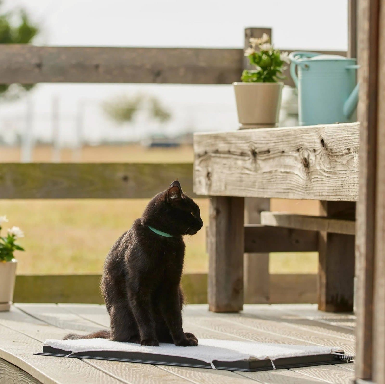 Heated Pet Mat Large 17in by 24in - Thumbnail 3