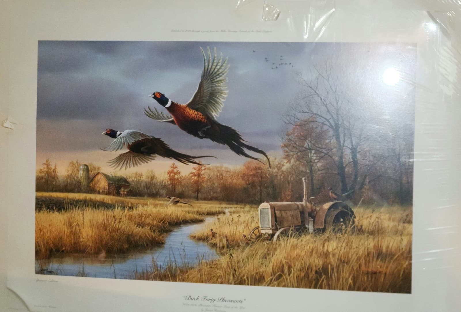 Back Forty Pheasants" by James Hautman - Image 1