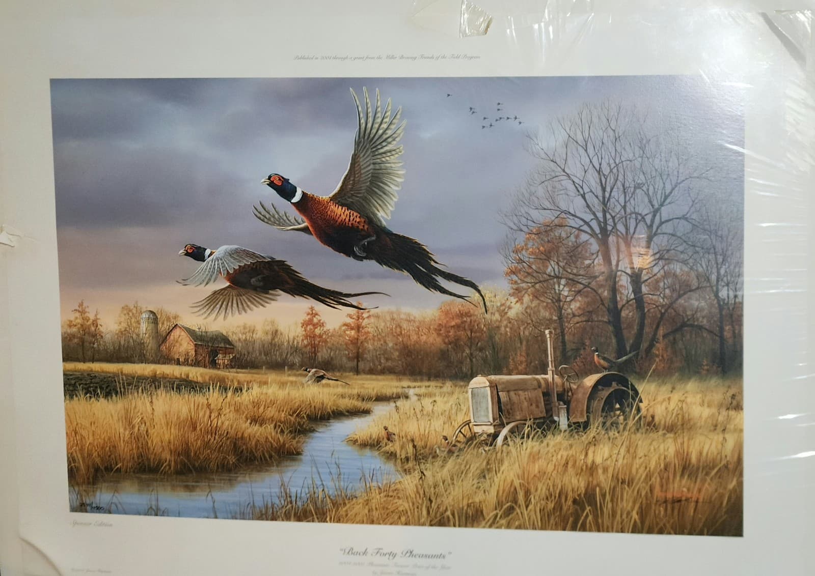Back Forty Pheasants" by James Hautman - Thumbnail 3