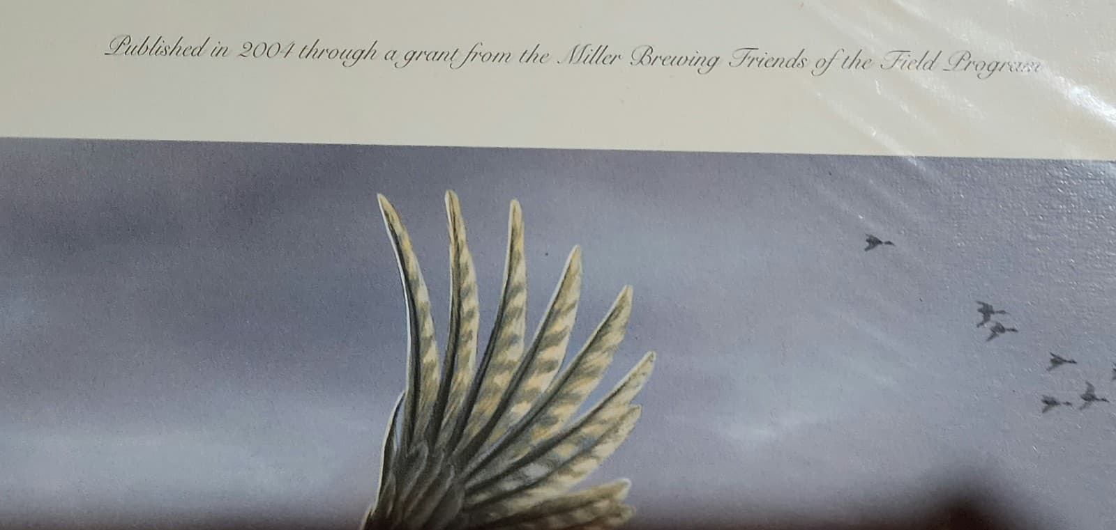 Back Forty Pheasants" by James Hautman - Thumbnail 5