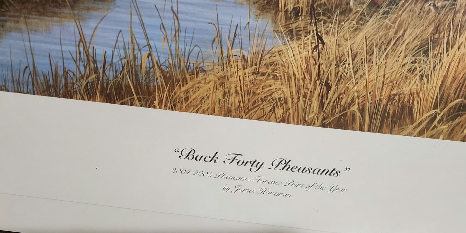 Back Forty Pheasants" by James Hautman - Thumbnail 4