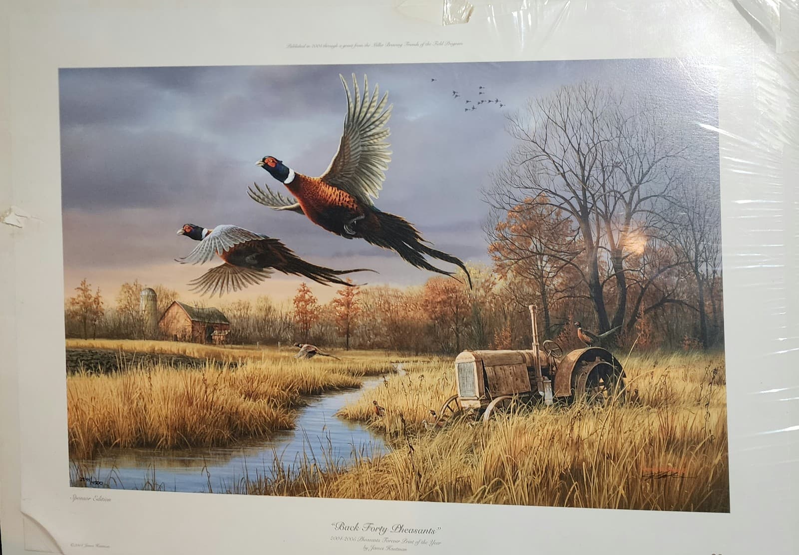 Back Forty Pheasants" by James Hautman - Thumbnail 2