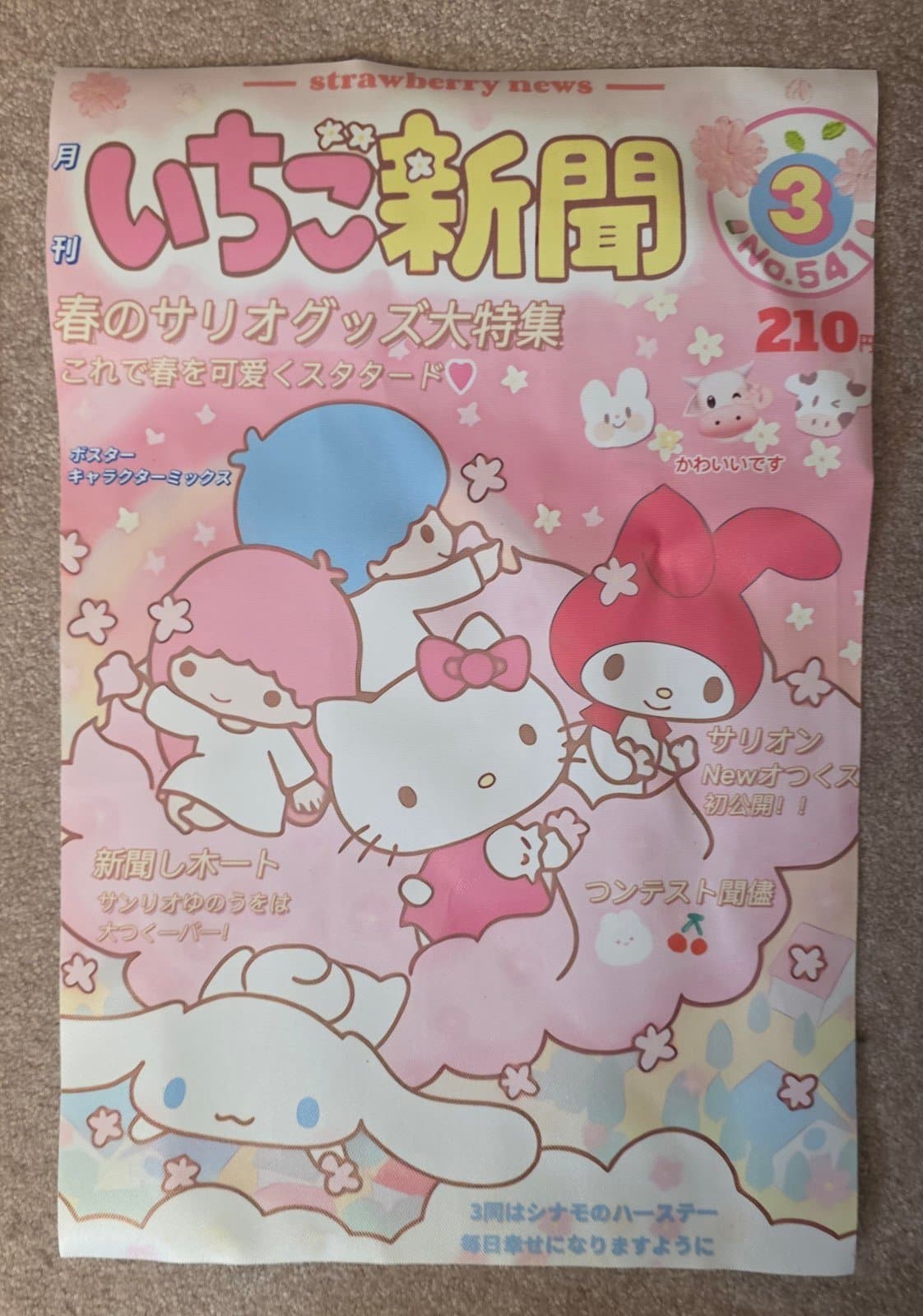 Enypolis Kuromi Anime Posters & Prints On Canvas Wall Art Poster for Room Decor - Image 1