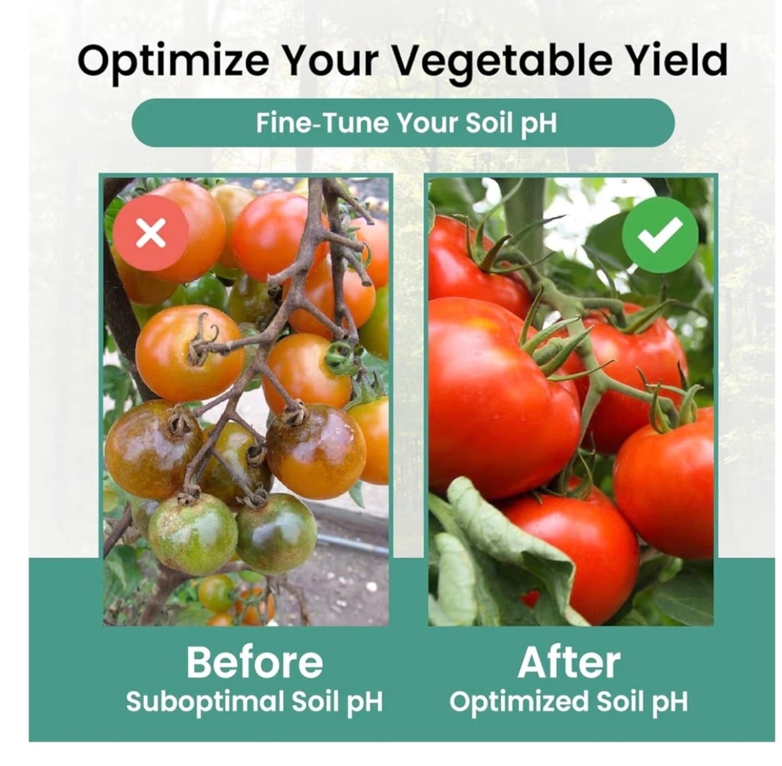 Soil pH Test Kit (3-9 Range) – 100 Test Strips for Garden, Lawn, Vegetable & Flo - Thumbnail 5