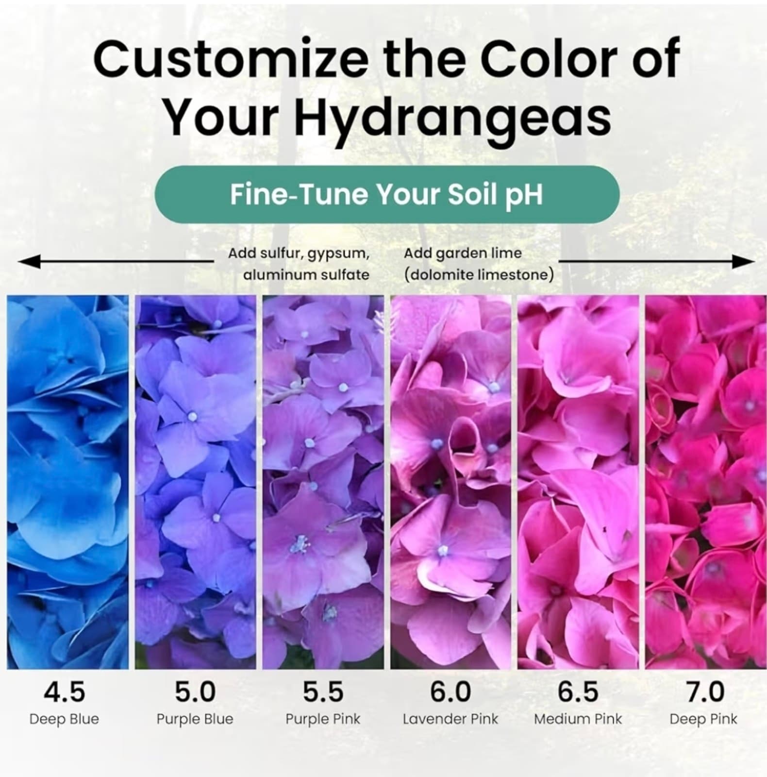 Soil pH Test Kit (3-9 Range) – 100 Test Strips for Garden, Lawn, Vegetable & Flo - Thumbnail 4