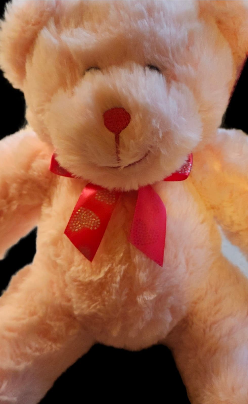 Valentine's Day Plush Bear - Thumbnail 3