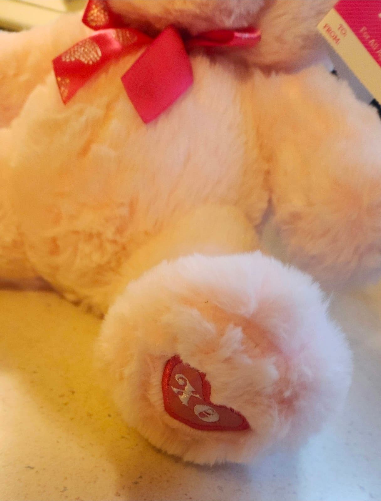 Valentine's Day Plush Bear - Thumbnail 2