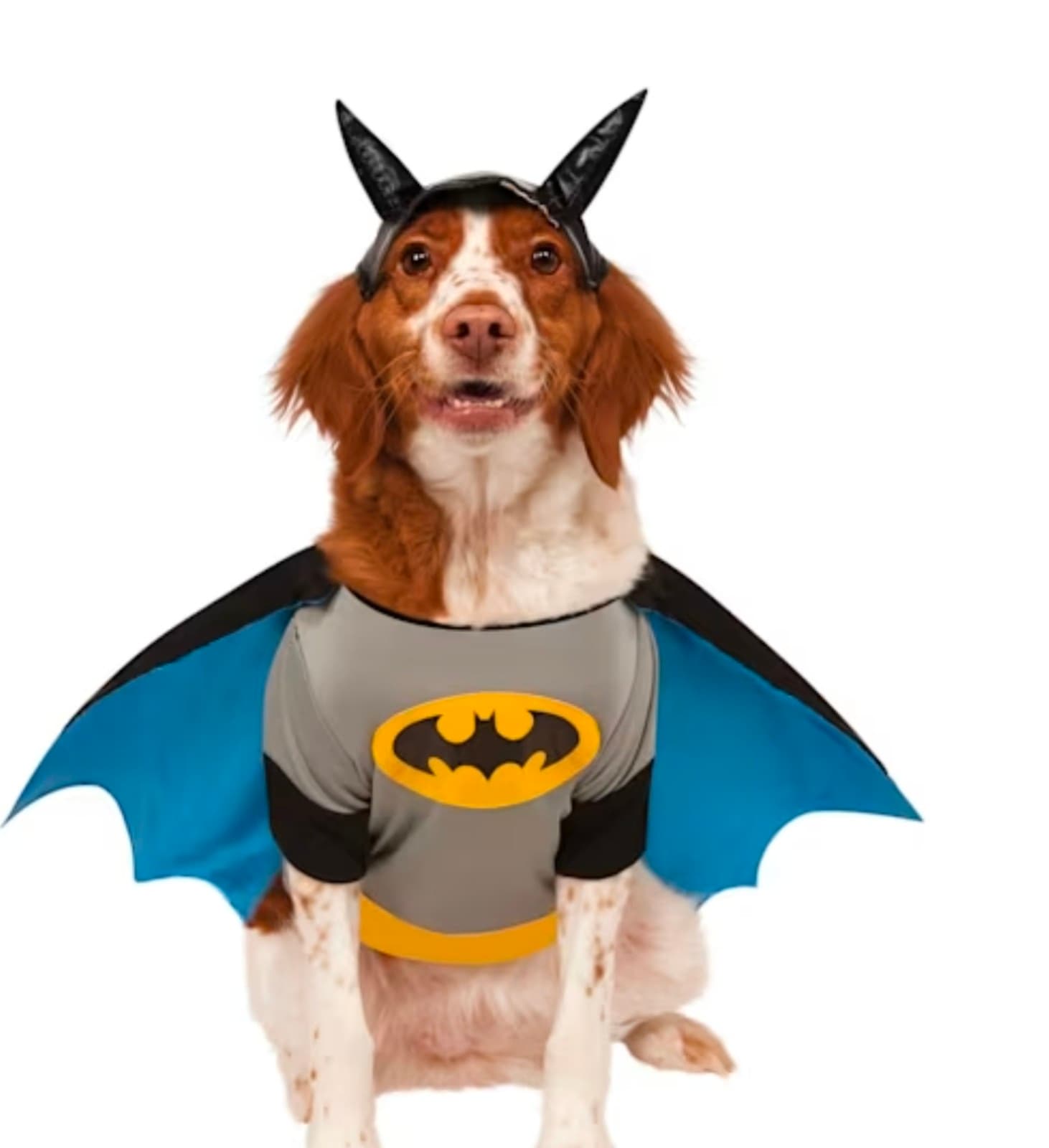 Batman Pet Costume sz XL - Image 1