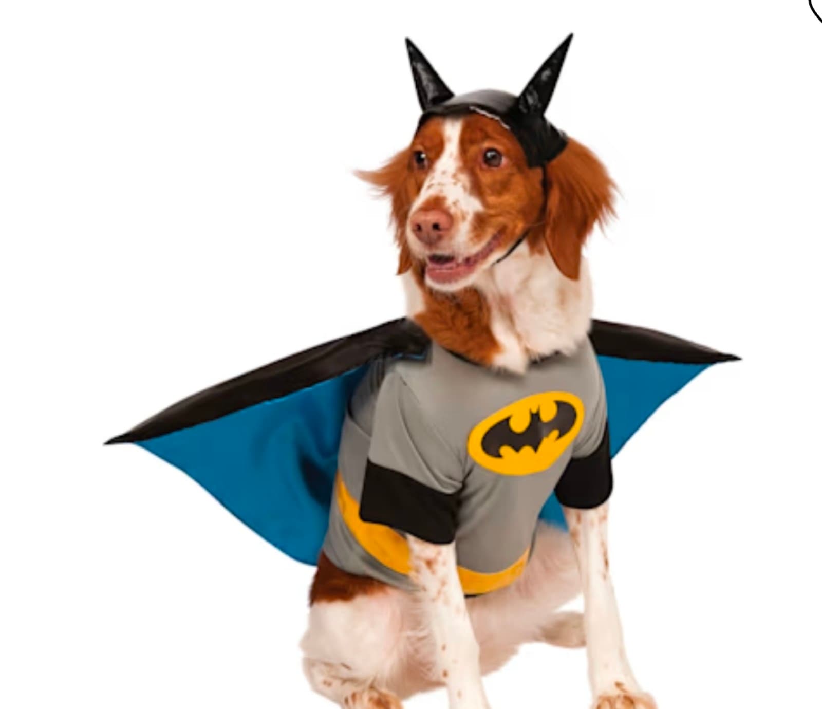 Batman Pet Costume sz XL - Thumbnail 3