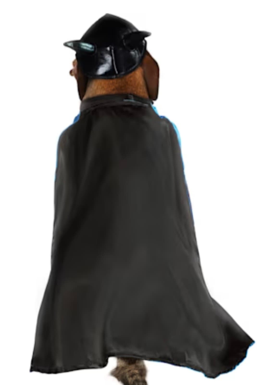 Batman Pet Costume sz XL - Thumbnail 2