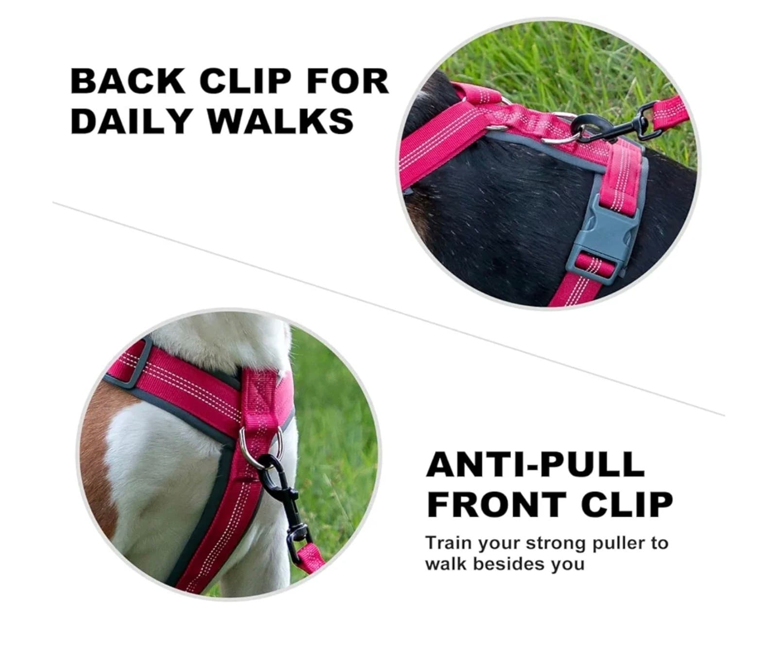 Dog Harness, Adjustable Nylon Harness with Soft Padding, Reflective sz S - Thumbnail 4
