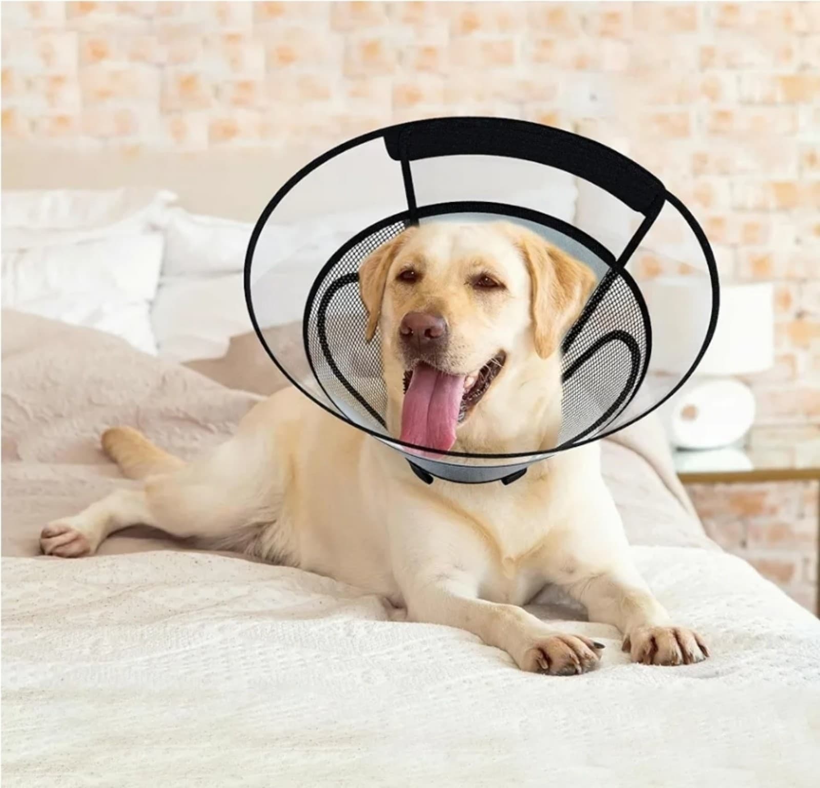 Dog Cone Collar for Large Dogs After Surgery, Mesh PVC Window - Thumbnail 2