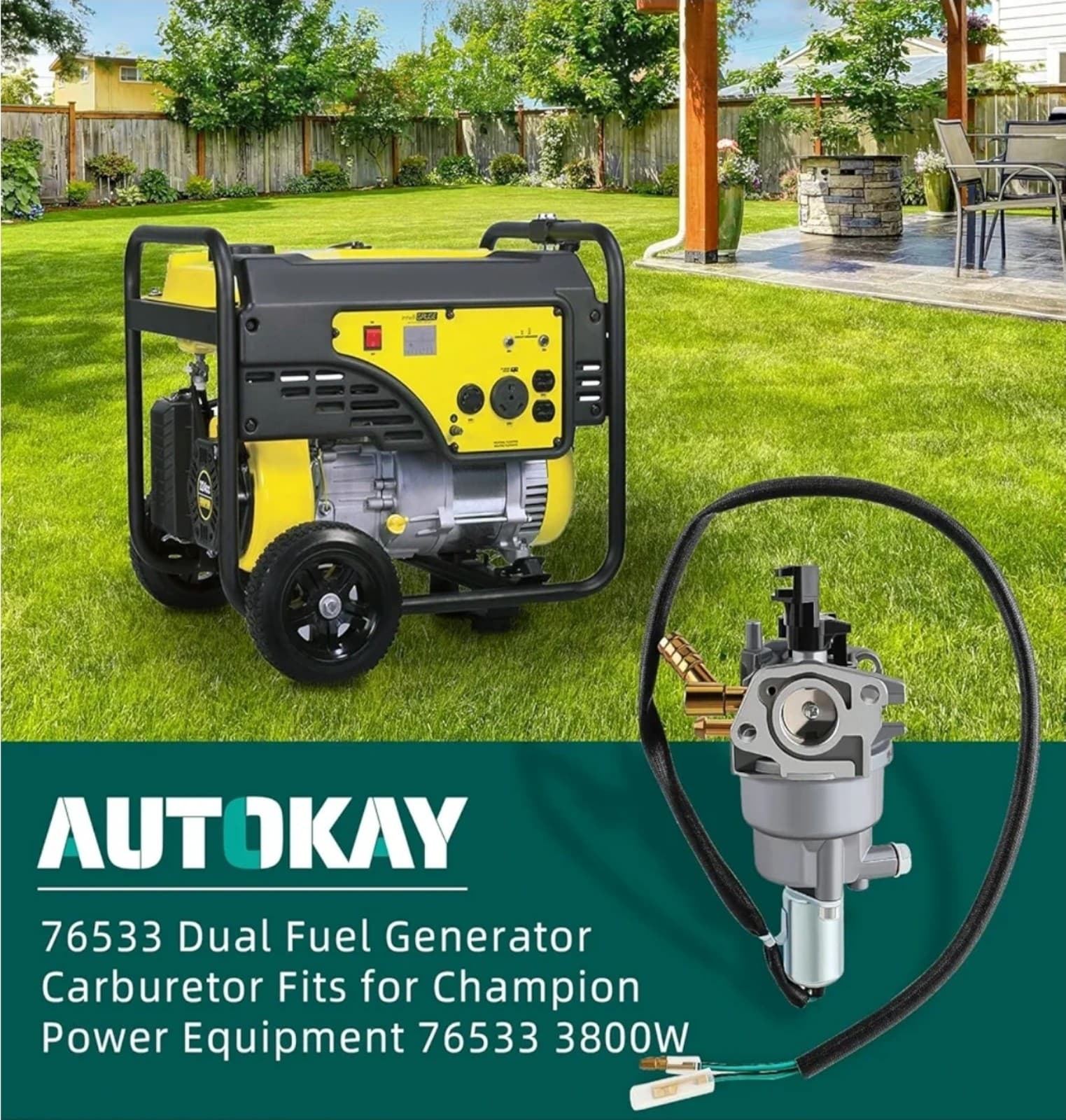 Champion Dual Fuel Generator Carburetor - Thumbnail 3