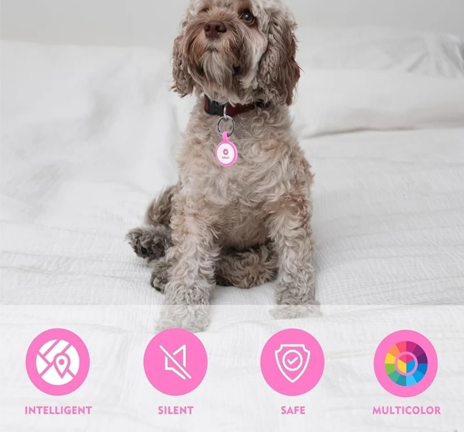 QR Code Dog Tag,Personalized Dog Tags with Free Editable Online Pet Profile - Thumbnail 3