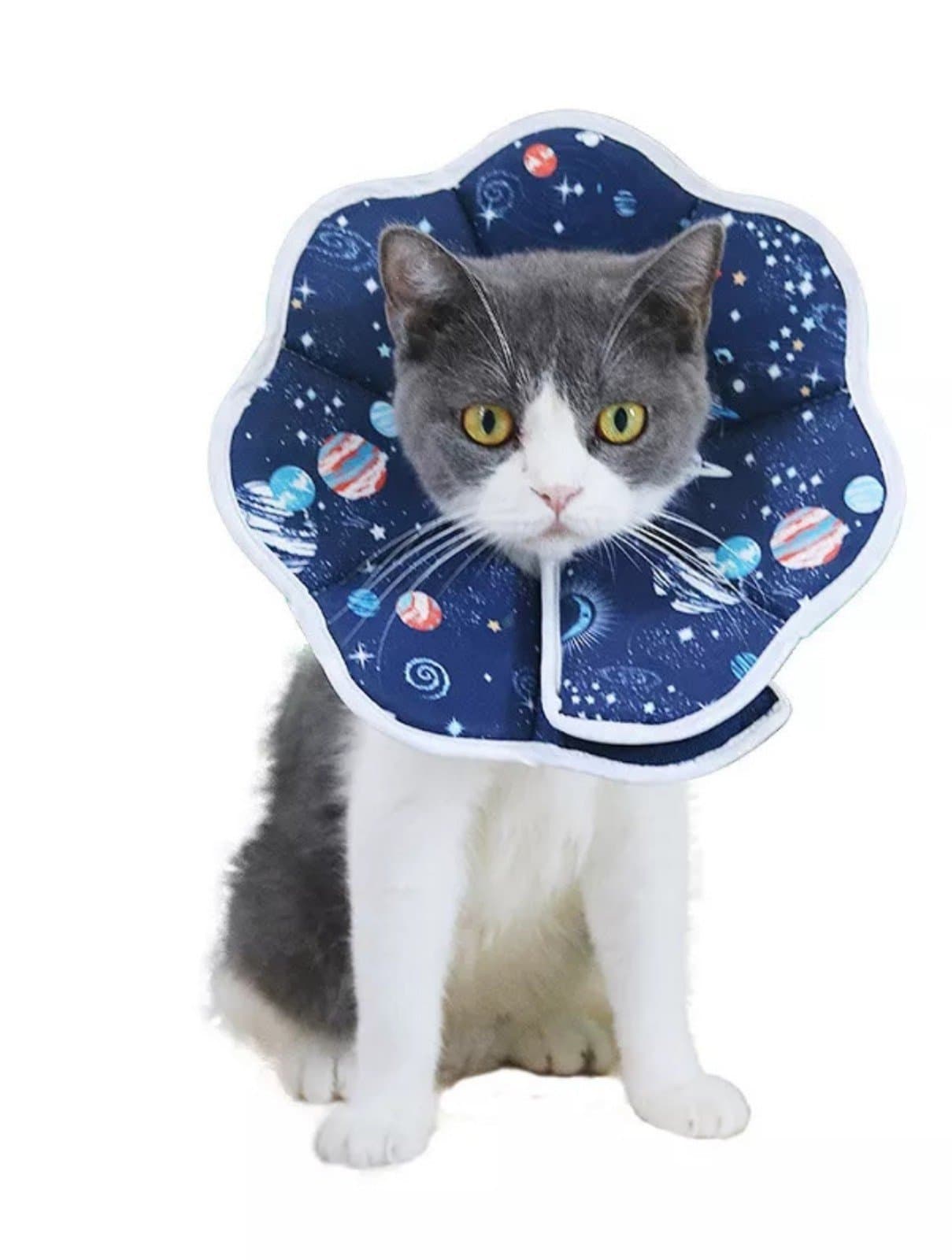 Cat Cone Recovery Collar After Surgery Soft Pet Protective Collar Adjustable S - Image 1