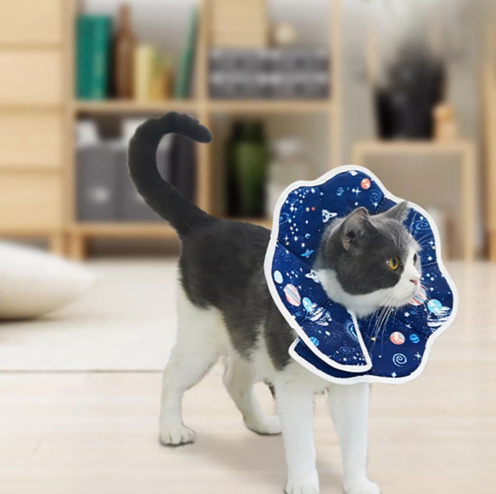 Cat Cone Recovery Collar After Surgery Soft Pet Protective Collar Adjustable S - Thumbnail 2