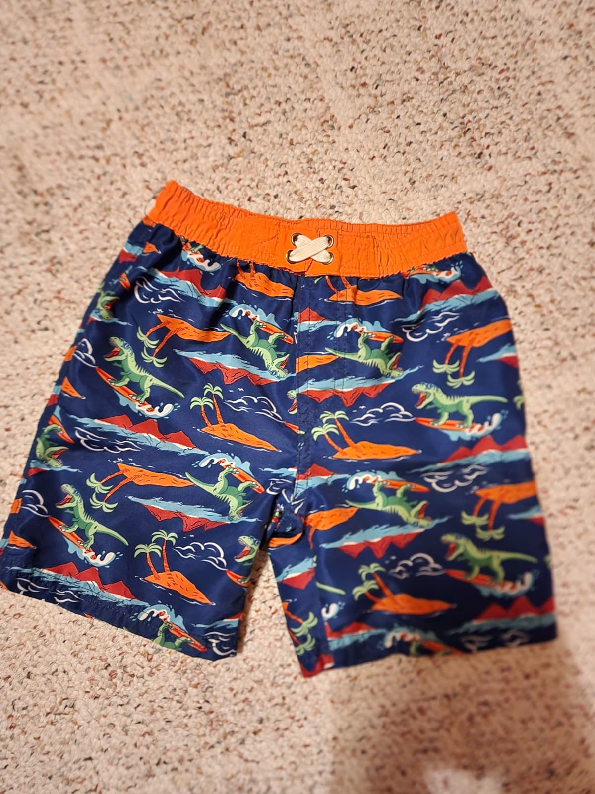 Boys Dinosaur Swim Trunks sz 4 - Image 1