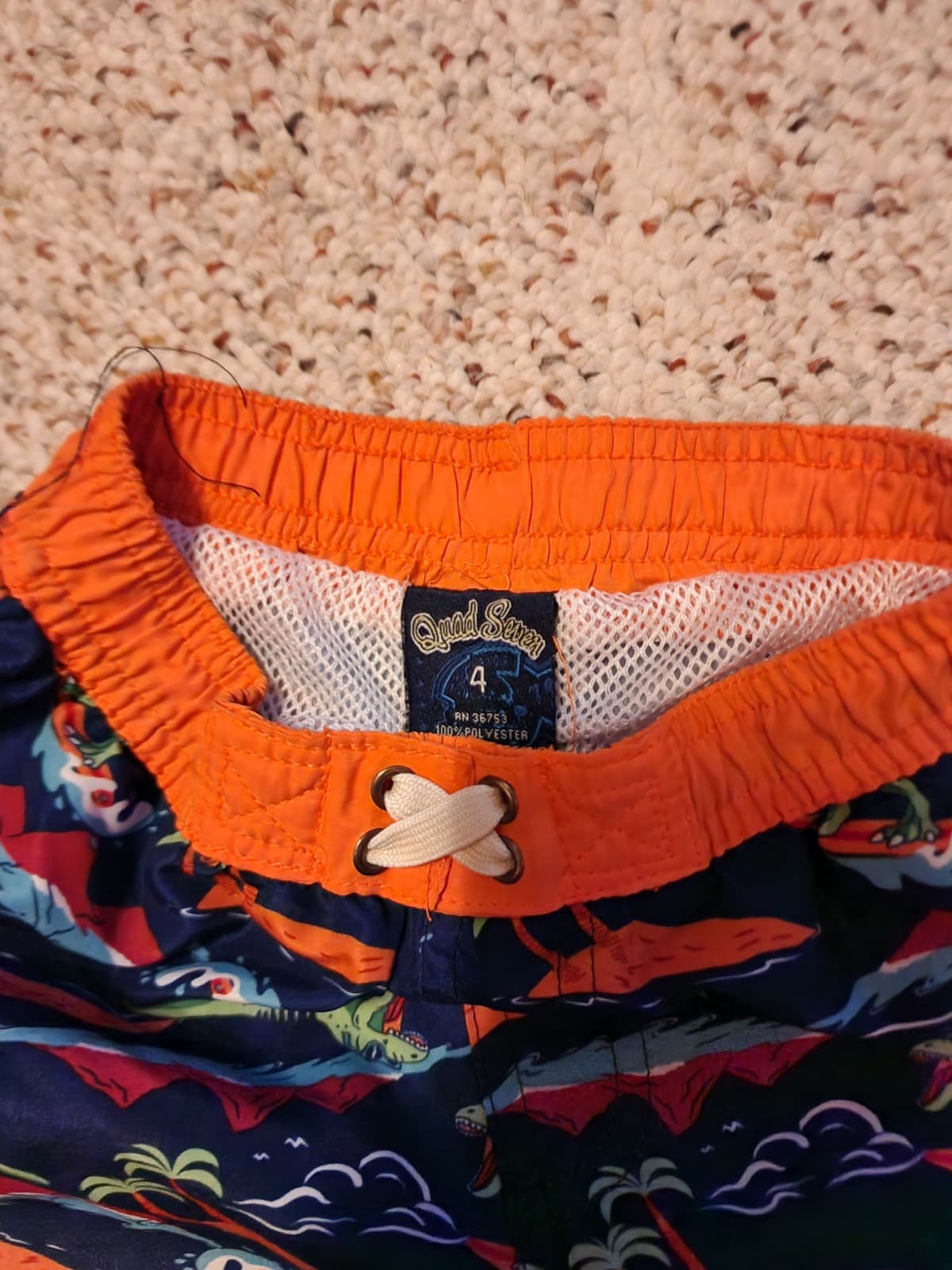 Boys Dinosaur Swim Trunks sz 4 - Thumbnail 2