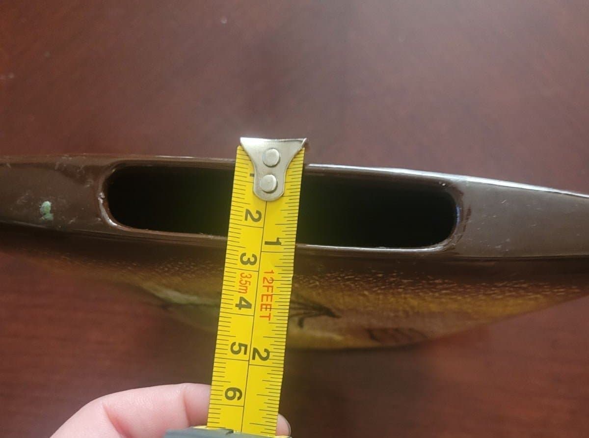 Longhorn Decor - Thumbnail 6