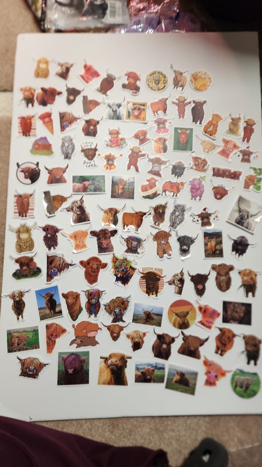 Highland Cow Stickers 100ct - Thumbnail 2