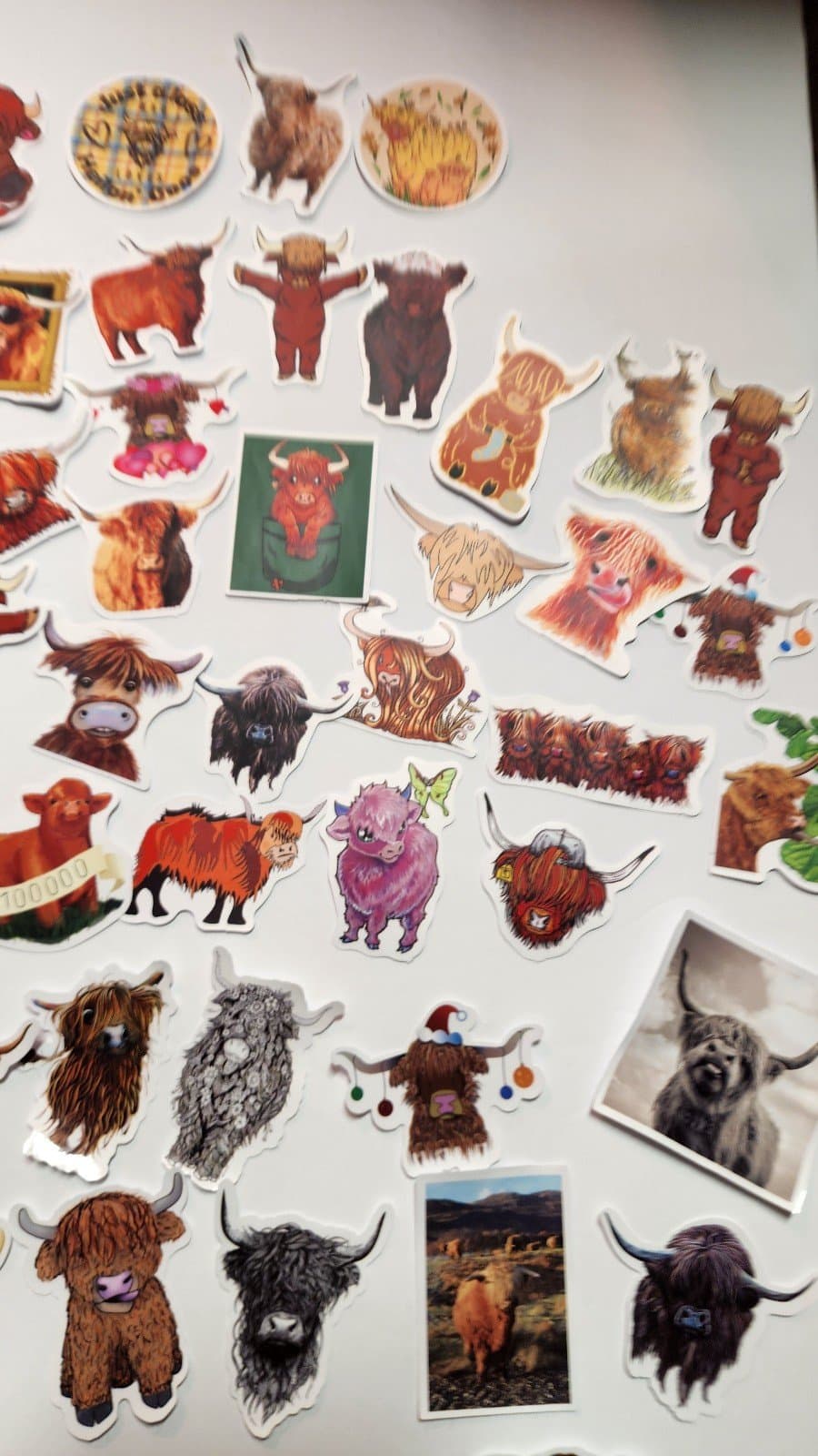 Highland Cow Stickers 100ct - Thumbnail 6