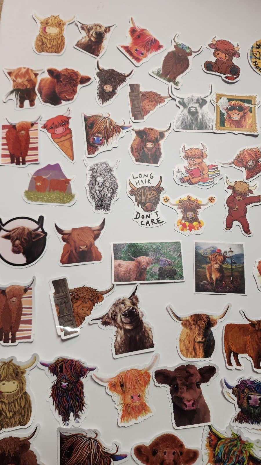 Highland Cow Stickers 100ct - Thumbnail 5