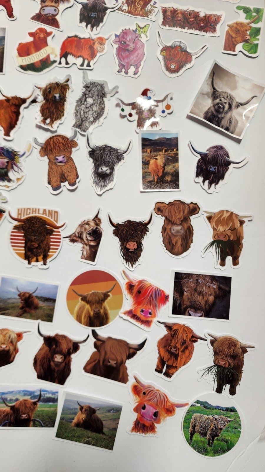 Highland Cow Stickers 100ct - Thumbnail 4