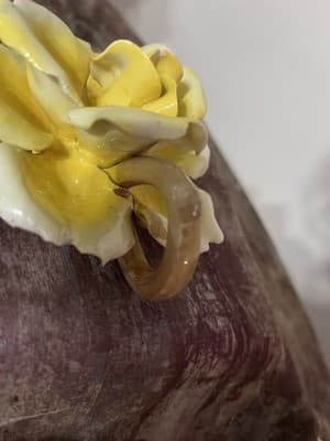 Capodimonte Porcelain Yellow Flower From Naples, Italy/1743/King Charles VII - Thumbnail 3