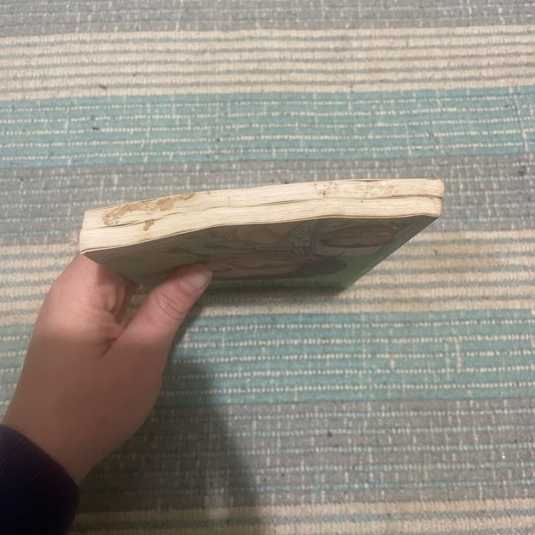 Sacajawea and Amelia Earnhardt kids books - Thumbnail 3