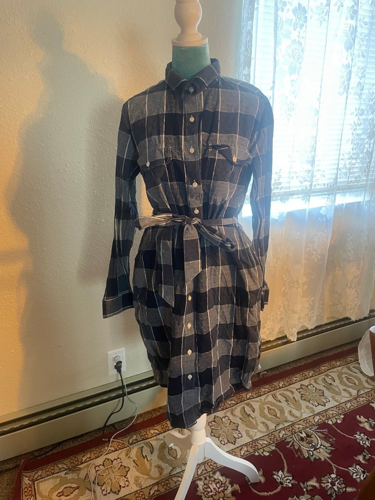 Lands end: blue plaid dress 10