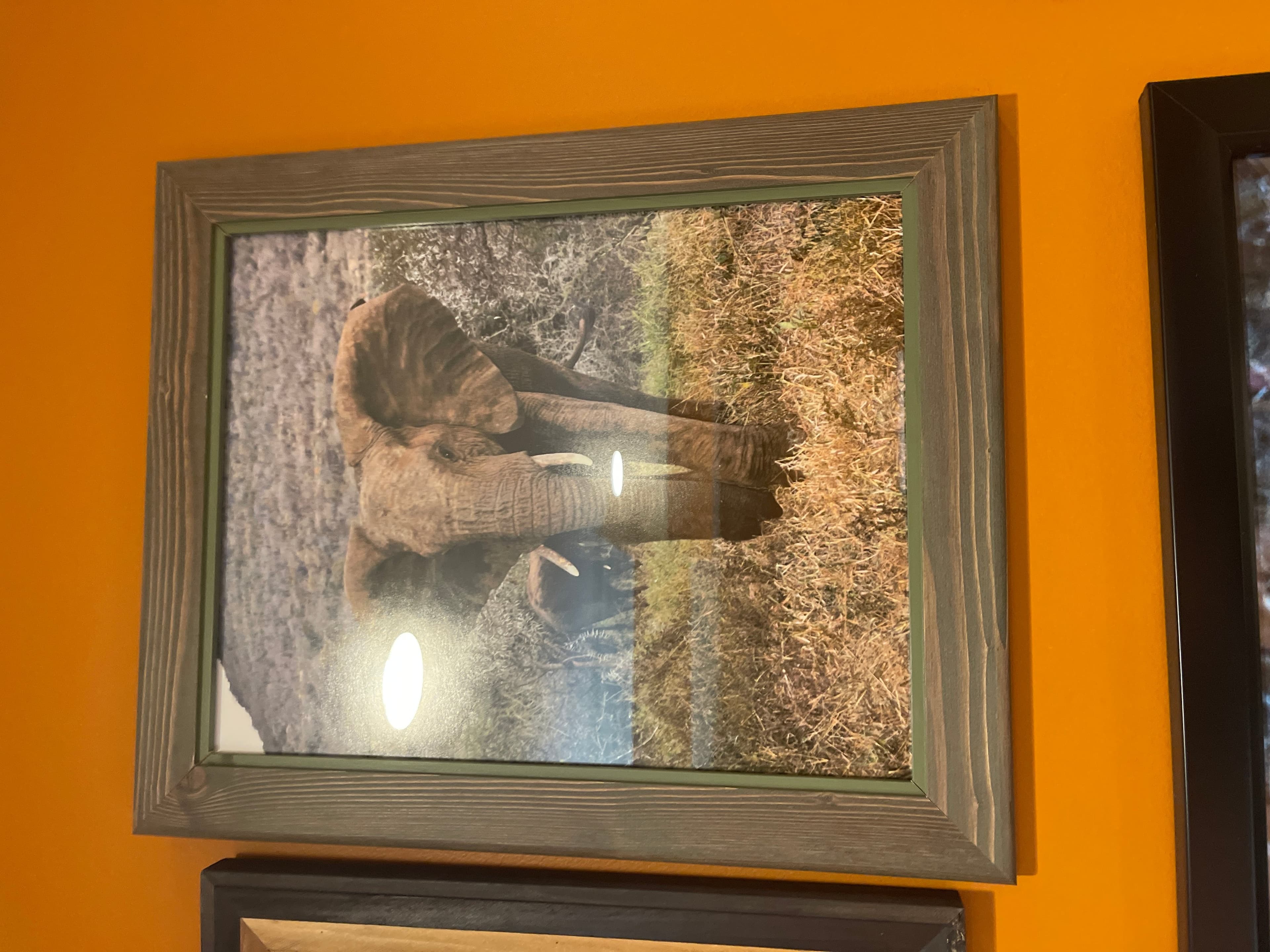 Framed Elephant Photo - Image 1