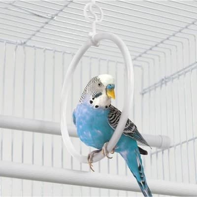 Pet Champion 15” Bird Cage Wire Habitat – Small Pet Parakeet Finch Cage - Thumbnail 9